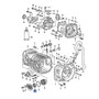 Axle Seal - Manual Trans & Front Differential