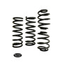 Syncro Coil Springs By Schwenk