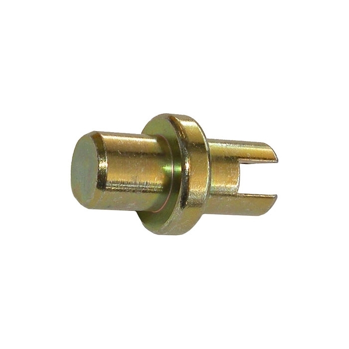 Rear Brake Shoe Pivot Pin