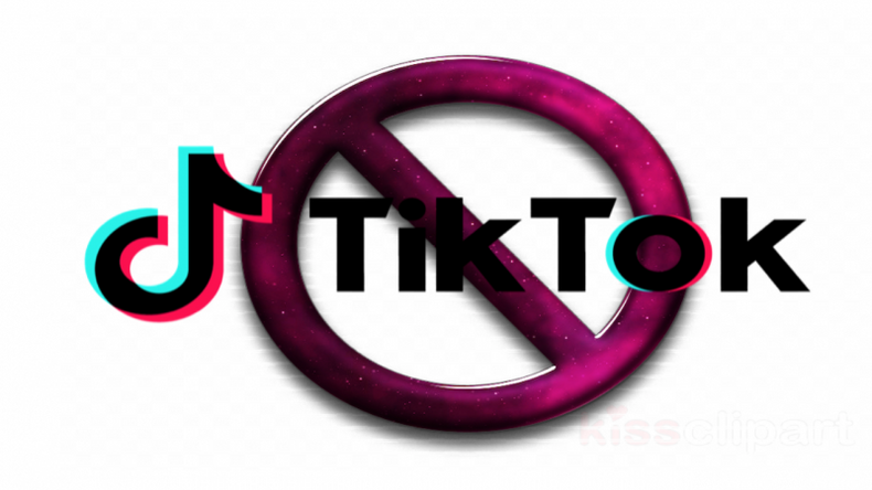 TikTok app banned by US Army on work mobile phones