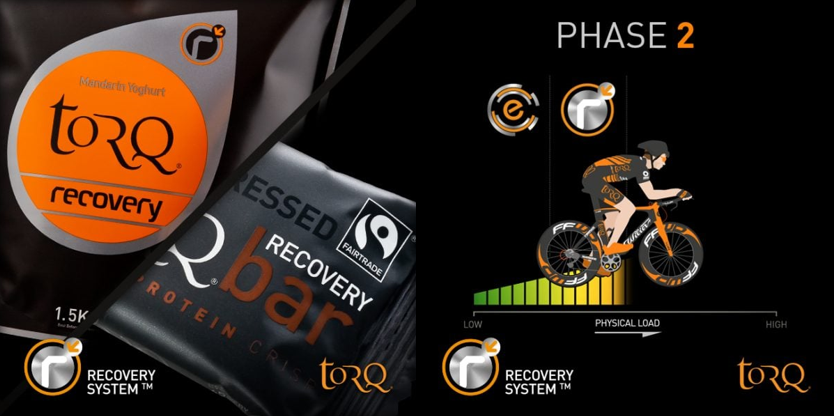 recovery-system-overview-phase2.png