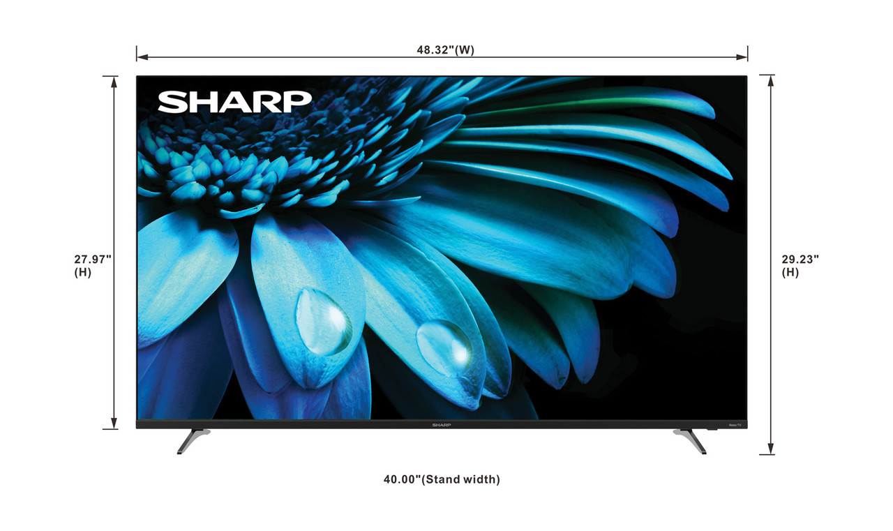 Roku TV 55