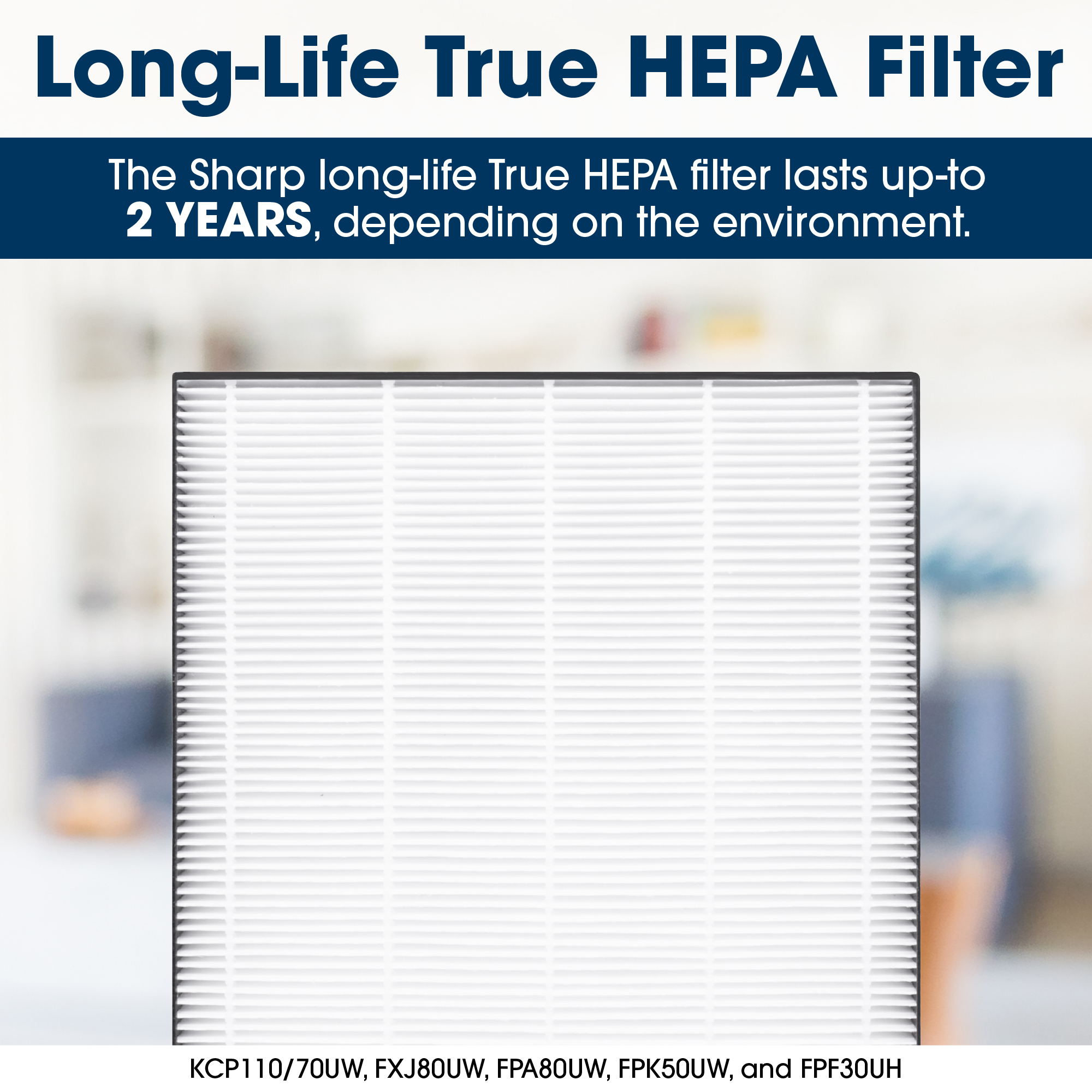 Sharp Small Room True HEPA Air Purifier (FPF30UH)  true HEPA filter infographic