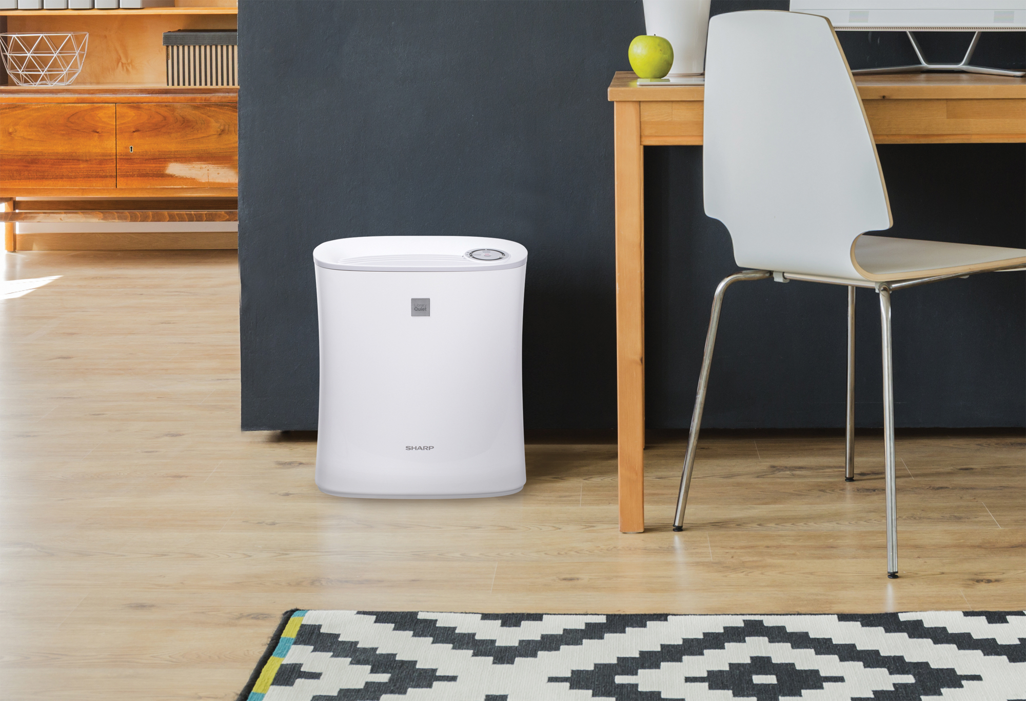 Sharp Small Room True HEPA Air Purifier (FPF30UH)  lifestyle