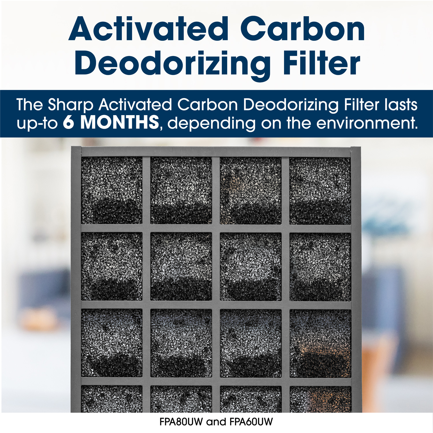 Activated Carbon Deodorizing Filter
The Sharp Activated Carbon Deodorizing Filter lasts up to 6 months, depending on the environment
FPA80UW and FPA60UW