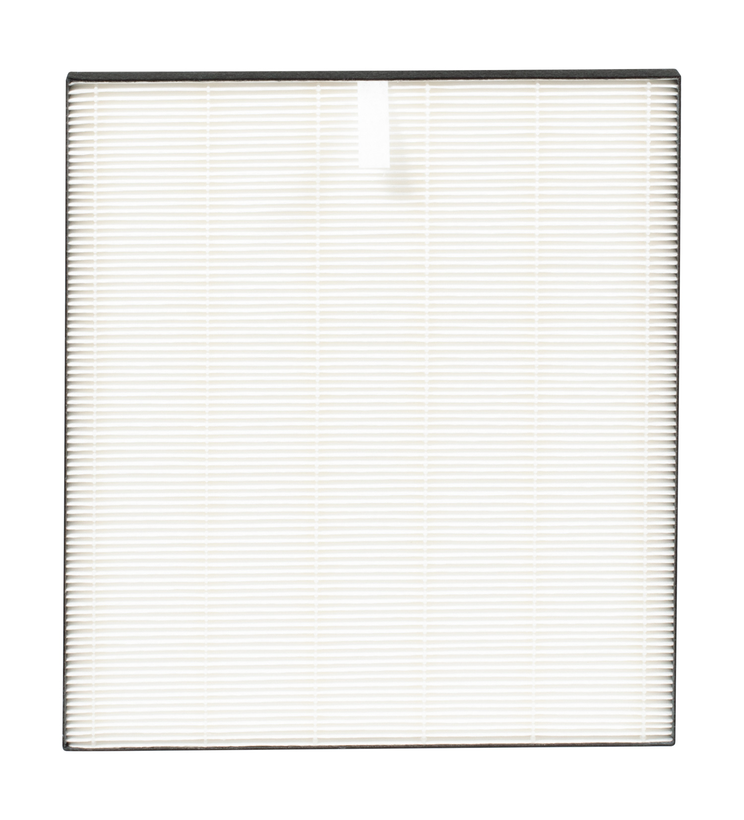 FZF50HFU True HEPA Replacement Filter front view