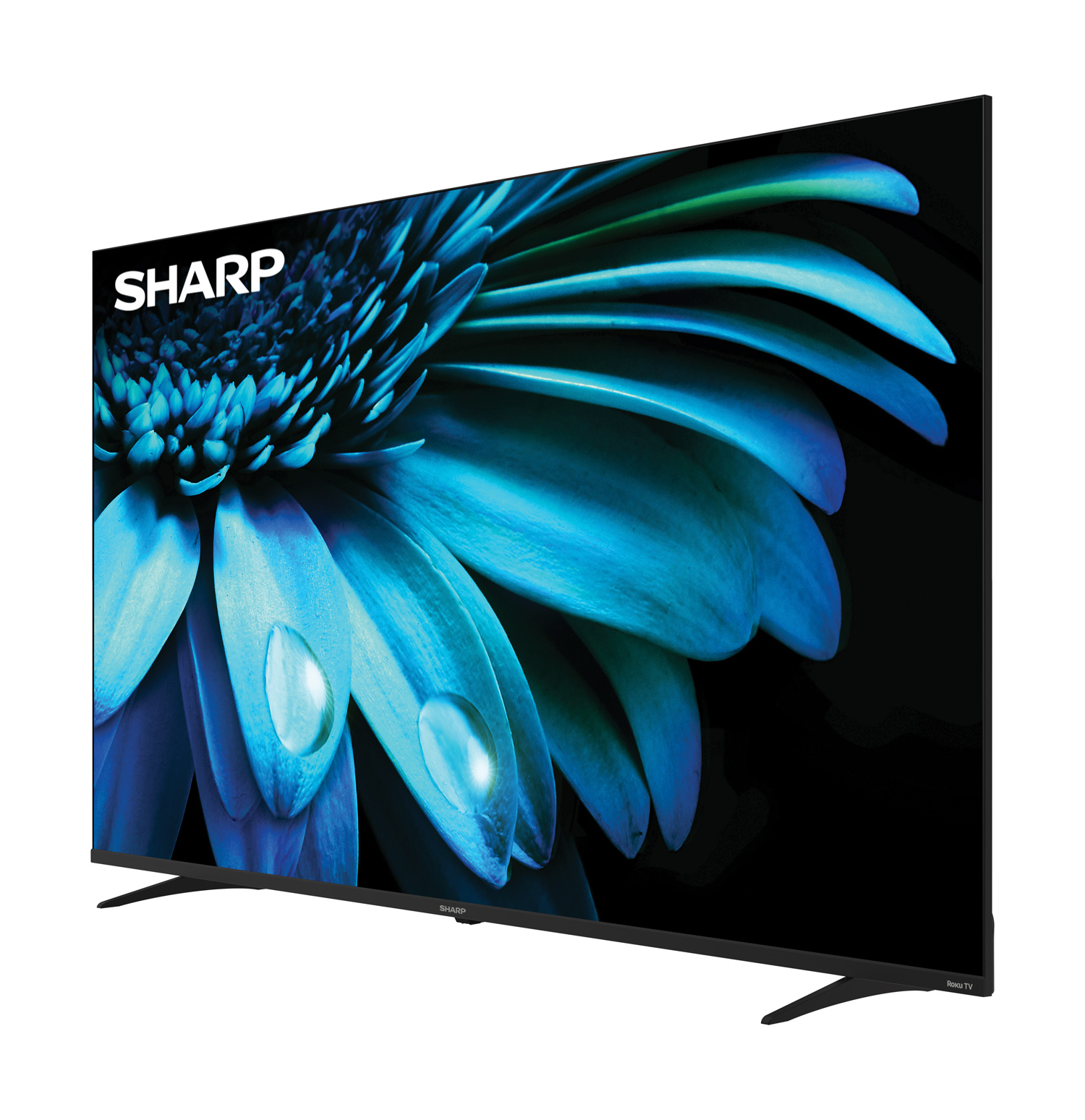 Sharp 65 Class (64.5 Diag.) AQUOS XLED 4K Ultra HD Mini LED Google TV  (4T-C65FV1U)