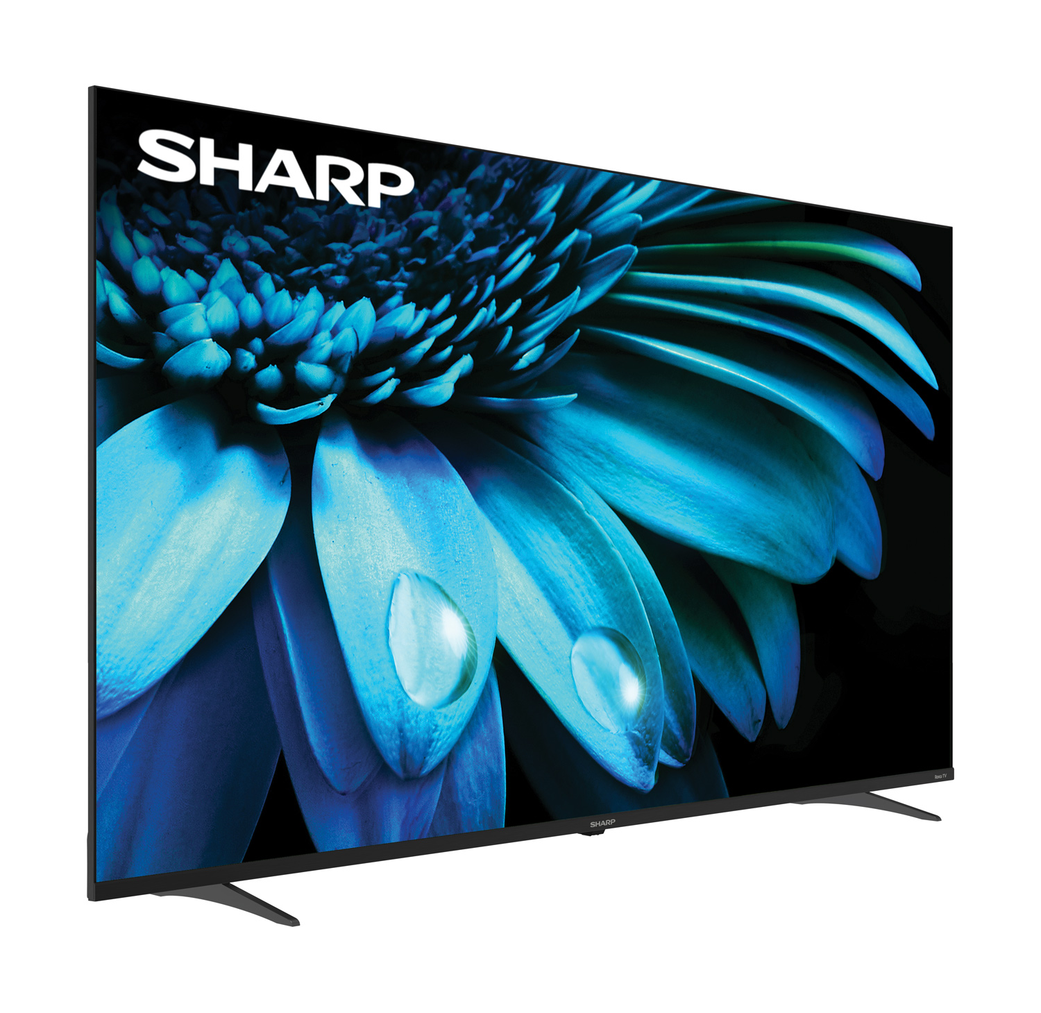 Sharp Roku TV 65 Class (64.5 Diag.) 4K Ultra HD with HDR10 (4T-C65EL8UR)