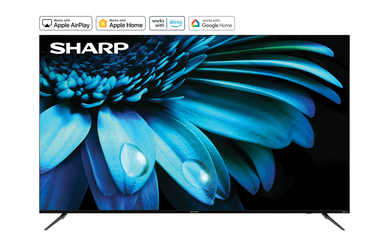 Pantalla Sharp 75 Pulgadas Roku Smart TV 4K Ultra HD LED TV 4T-C75EL8UR