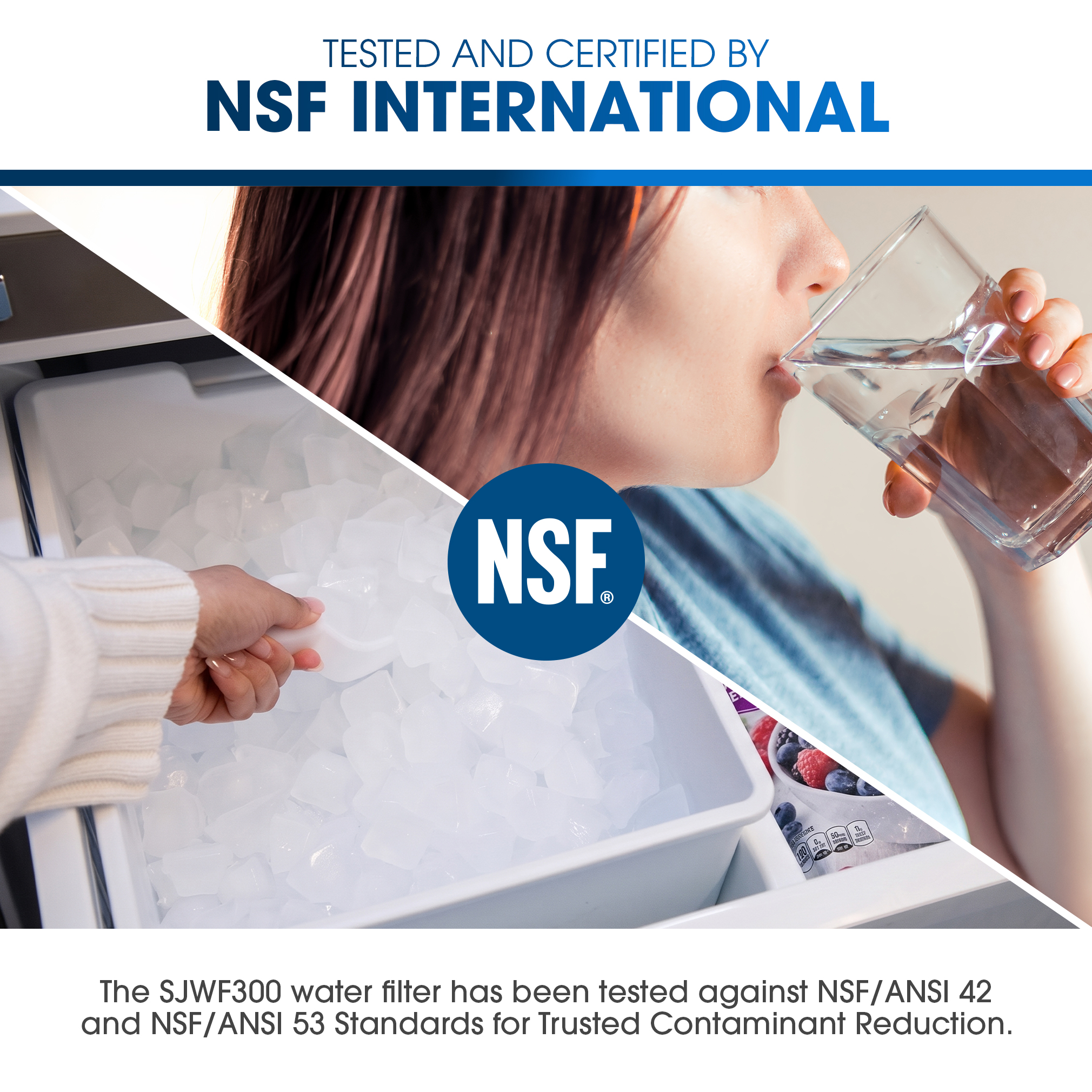 Replacement Water Filter for Sharp SJF2955MS and SJF2955KS Refrigerator (SJWF300) NSF Certified Infographic