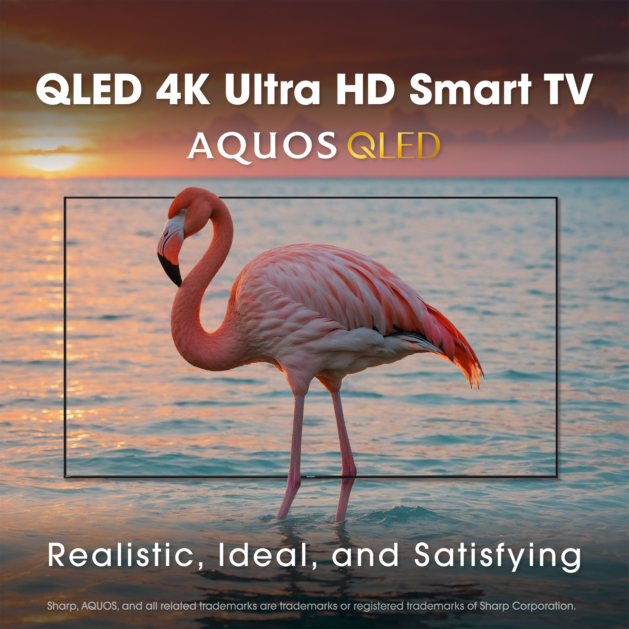 AQUOS QLED 4K Ultra HD Smart Xumo TV 4T-C85HP7050U 4K Ultra HD Smart TV Infographic