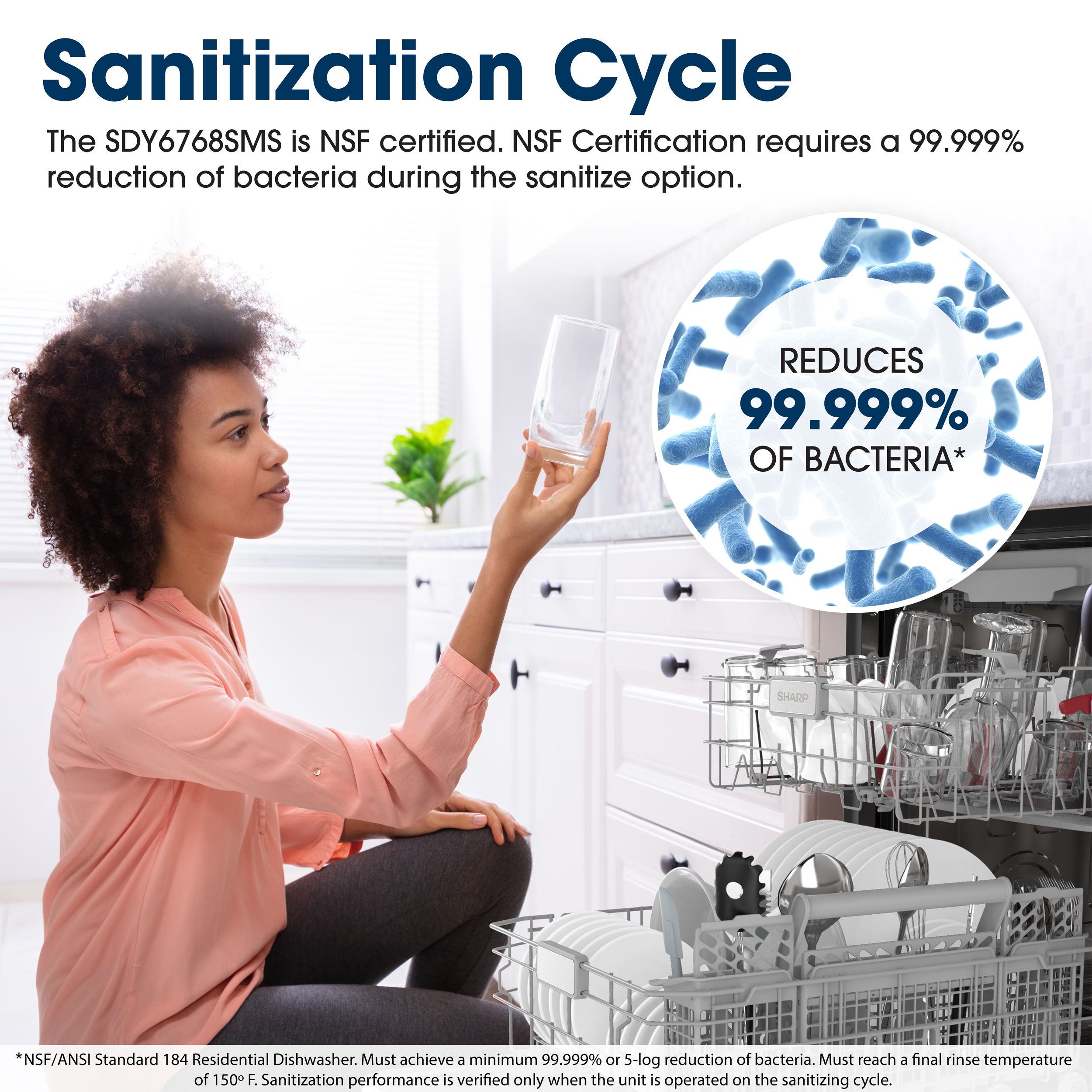 Sharp 24 in. Stainless Steel Dishwasher (SDY6768SMS) Sanitization Cycle Infographic