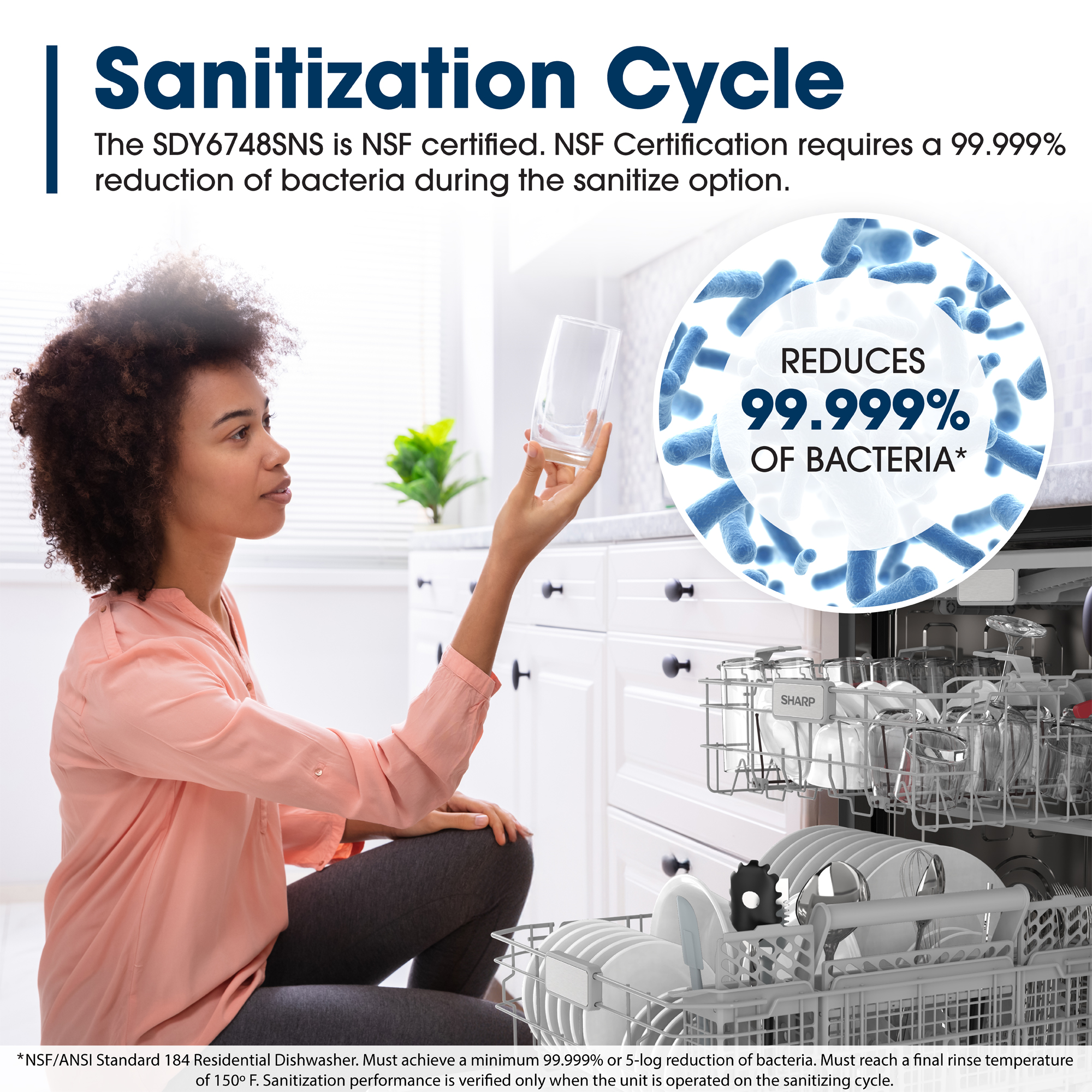 Sharp 24 in. Stainless Steel Dishwasher (SDY6748SNS) Sanitization Cycle Infographic