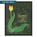  A stylized green plant with a glowing flower rises against a textured dark background. Elegant lettering displays the quote “Bloom Where You Are Planted” by St. Francis de Sales in a decorative design. It is labeled 
