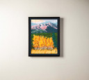  A canvas print of a painting of Pike's Peak in Colorado with aspen trees. It's in a black float frame.