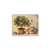 Lady Clare Placemats Orange Tree