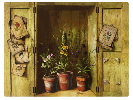 Lady Clare Coasters Country Flowers