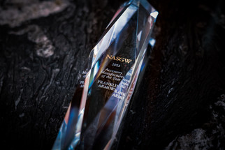 NASGW 2022 Leadership Award
