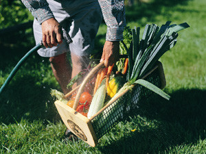 Pike's Original Maine Garden Hod Maine Garden Products