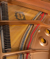 Yamaha 5 GB1K Grand Piano or Polished Ebony