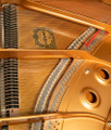 Yamaha 53 GC1 Grand Piano or Polished Ebony or SN 6132964