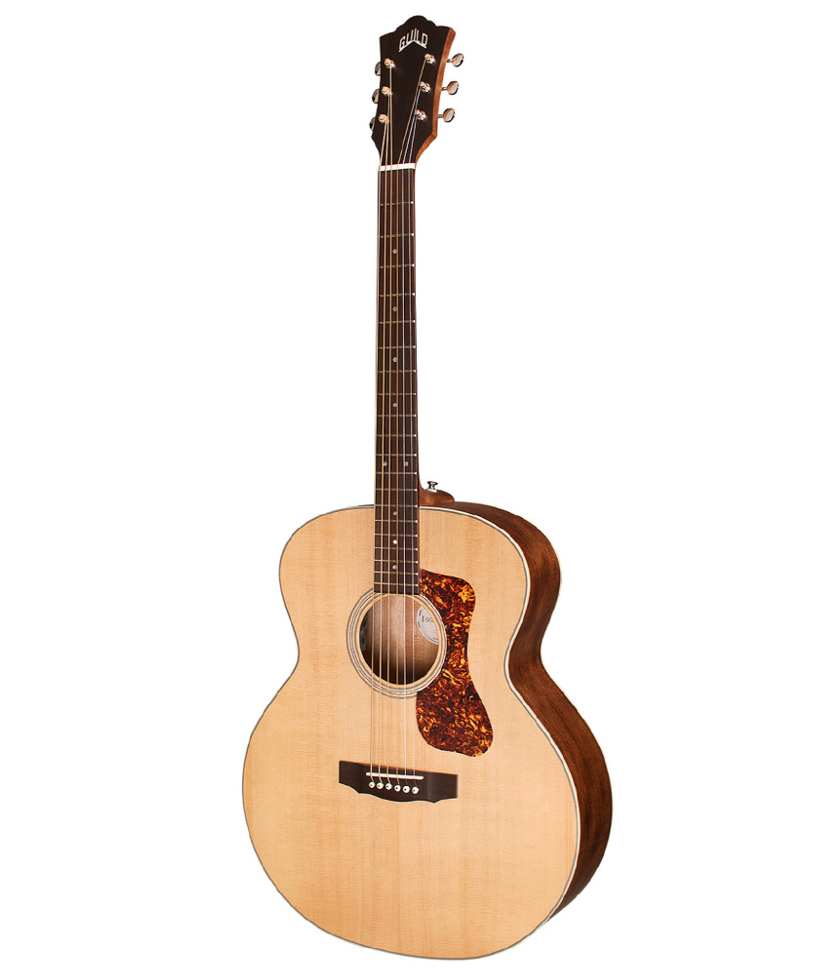 baritone acoustic electric