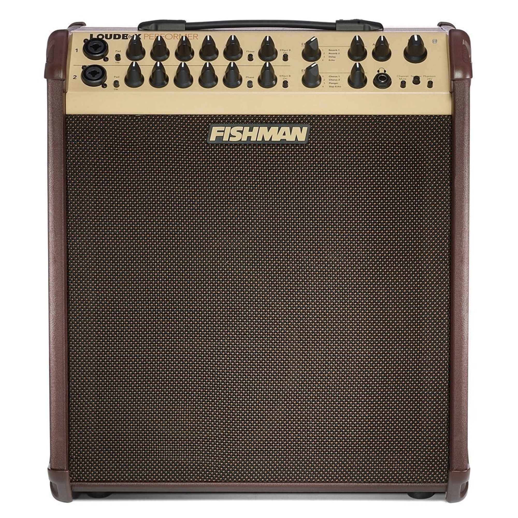 fishman loudbox used