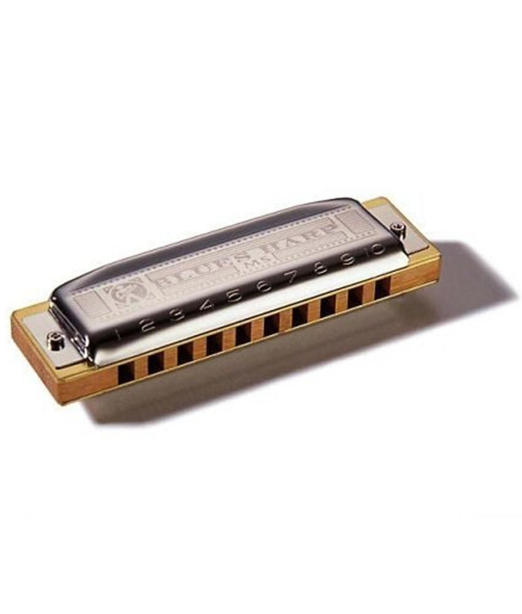 Ineenstorting zoals dat Leesbaarheid Hohner Blues Harp G Harmonica | ALAMO MUSIC