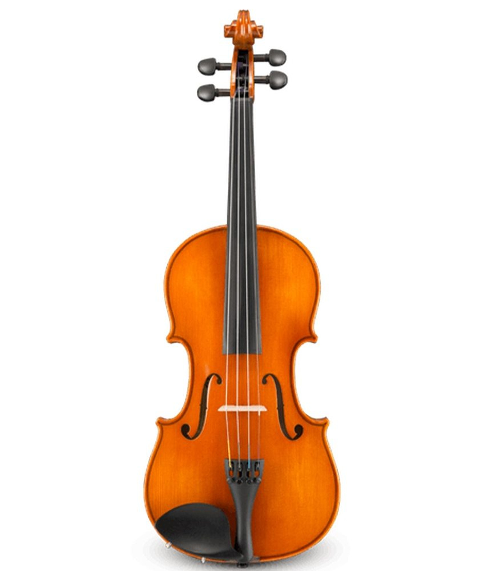 Eastman VL100SBC 4/4 Violin Outfit High-Gloss with Case