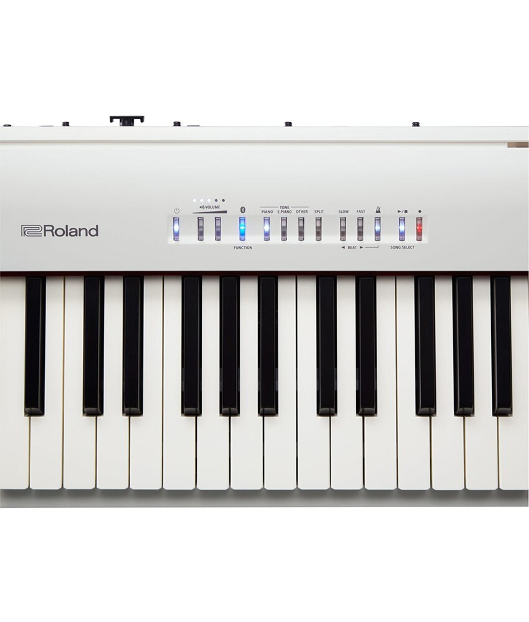 Roland FP-30 Portable Digital Piano - White