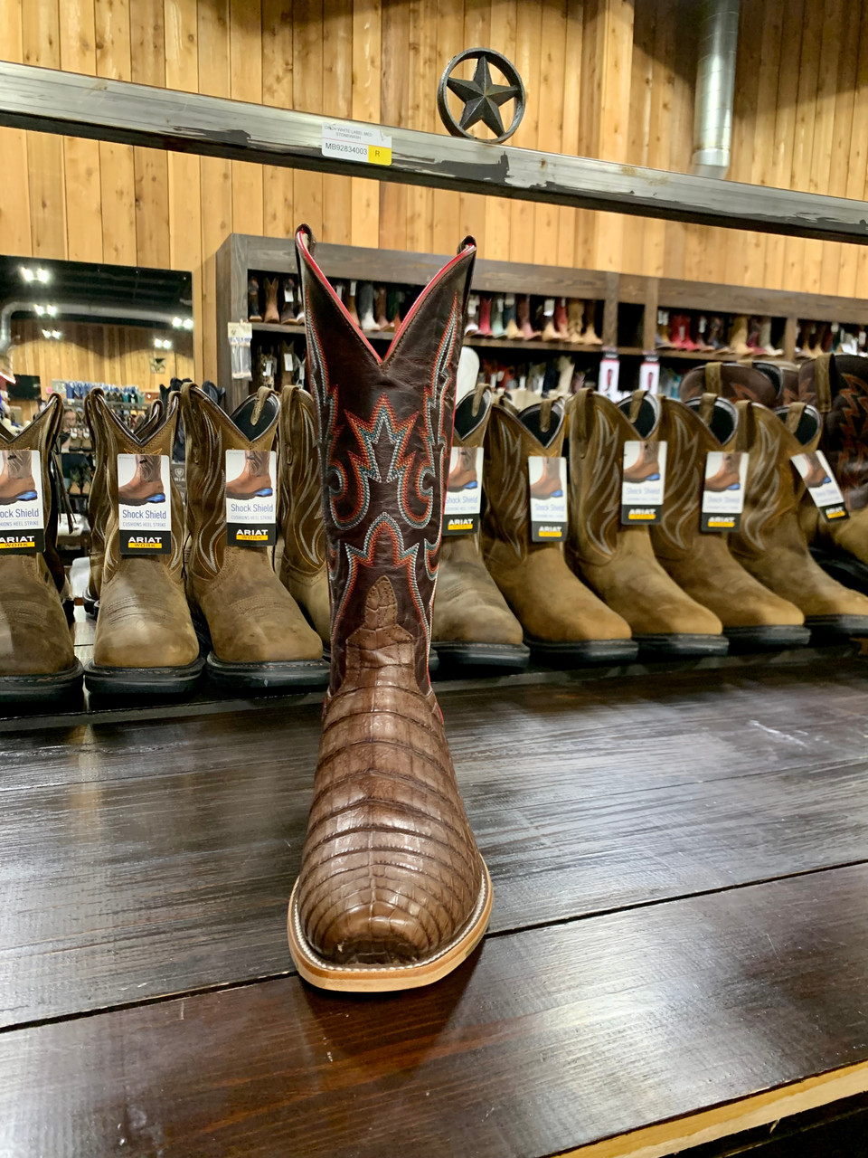 HORSE POWER - MEN'S POST OAK CAIMAN BELLY BOOTS - Y-Bell Ranch Supply