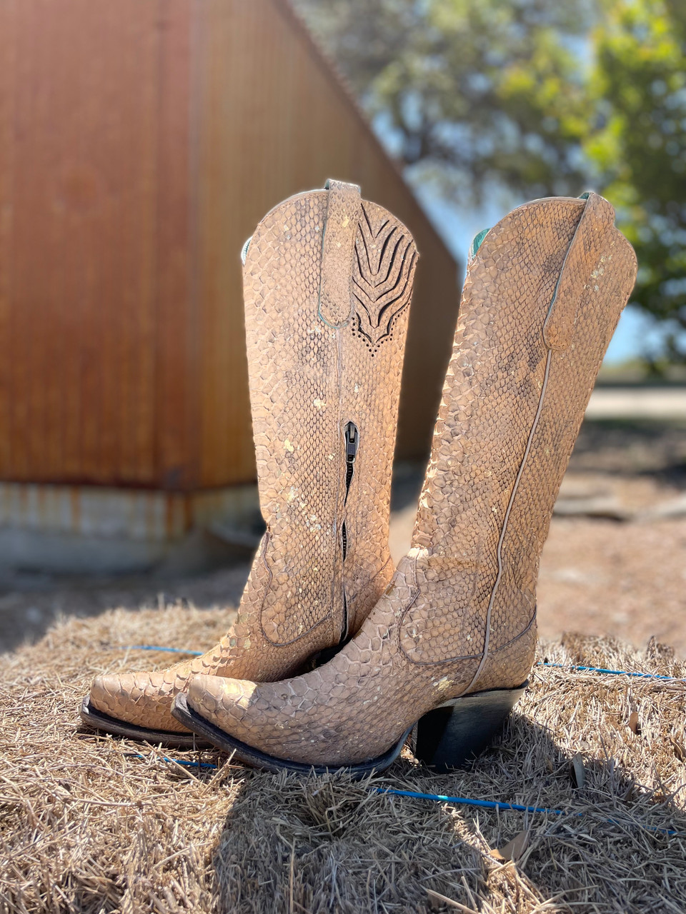 CORRAL- WOMEN'S GOLD SPARKLE PYTHON BOOTS - Main Image