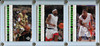 LeBron James 2003-04 Top Prospects 3 Card Set In 3 Card Screwdown (#3, #55, #60)
