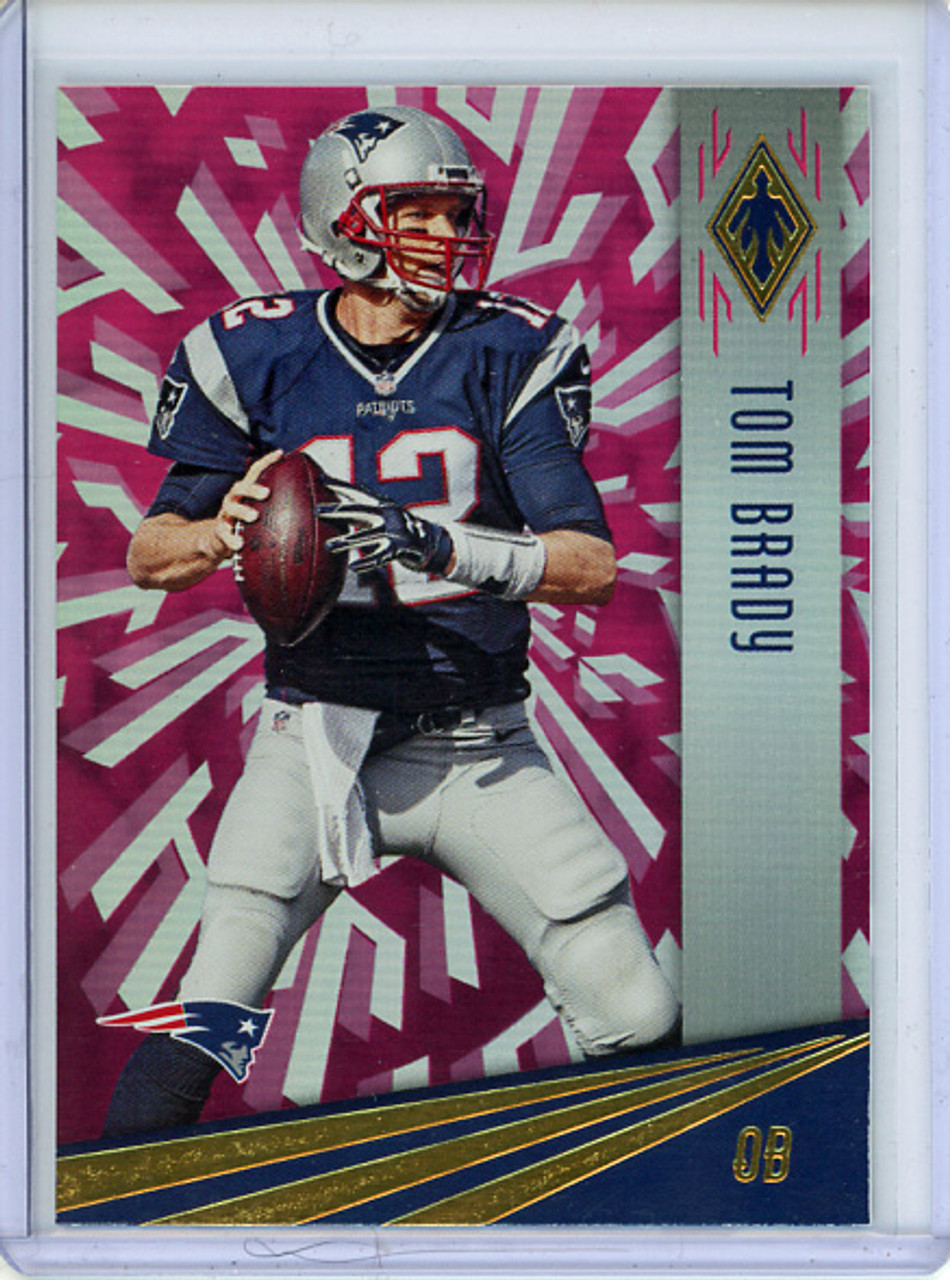 Tom Brady 2016 Phoenix #59 Pink
