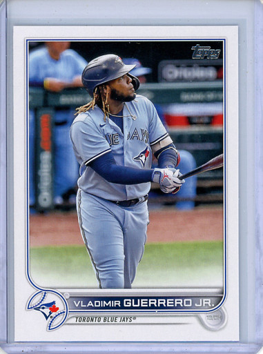 Vladimir Guerrero Jr.  DICK'S Sporting Goods