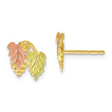 Image of 10mm 10k Tri-color Black Hills Gold Stud Post Earrings 10BH630