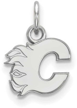 Image of 10K White Gold NHL Calgary Flames X-Small Pendant by LogoArt