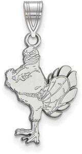 Image of 10K White Gold Virginia Tech Large Pendant by LogoArt (1W044VTE)