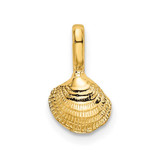 Image of 10K Yellow Gold Mini Clam Shell Pendant