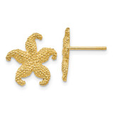 Image of 10k Yellow Gold Starfish Post Earrings 10TC586