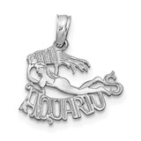 Image of 14K White Gold AQUARIUS Pendant