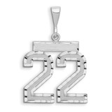 Image of 14K White Gold Large Shiny-Cut Number 22 Pendant