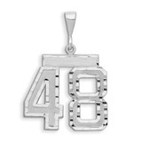 Image of 14K White Gold Large Shiny-Cut Number 48 Pendant
