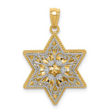 Image of 14K Yellow & White Gold Polished Reversible Filigree Star Of David Pendant