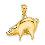 Image of 14K Yellow Gold 2-D Polished Pig Pendant