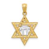 Image of 14K Yellow Gold and Rhodium Star Of David w/ Chai Pendant
