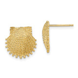 Image of 13.4mm 14K Yellow Gold Beaded Scallop Shell Post Earrings TE767