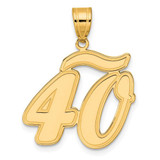 Image of 14K Yellow Gold Brushed Border Script Number 40 Pendant