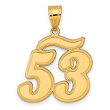 Image of 14K Yellow Gold Brushed Border Script Number 53 Pendant