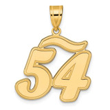 Image of 14K Yellow Gold Brushed Border Script Number 54 Pendant